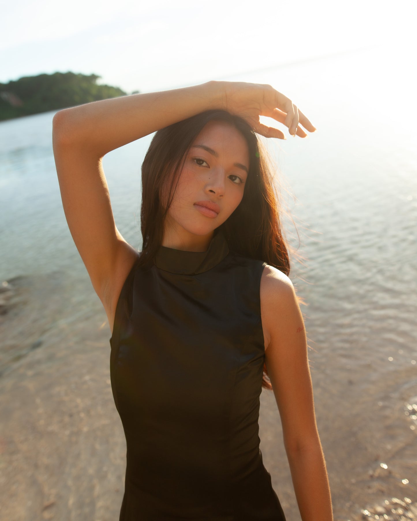 Lucia Dress Black