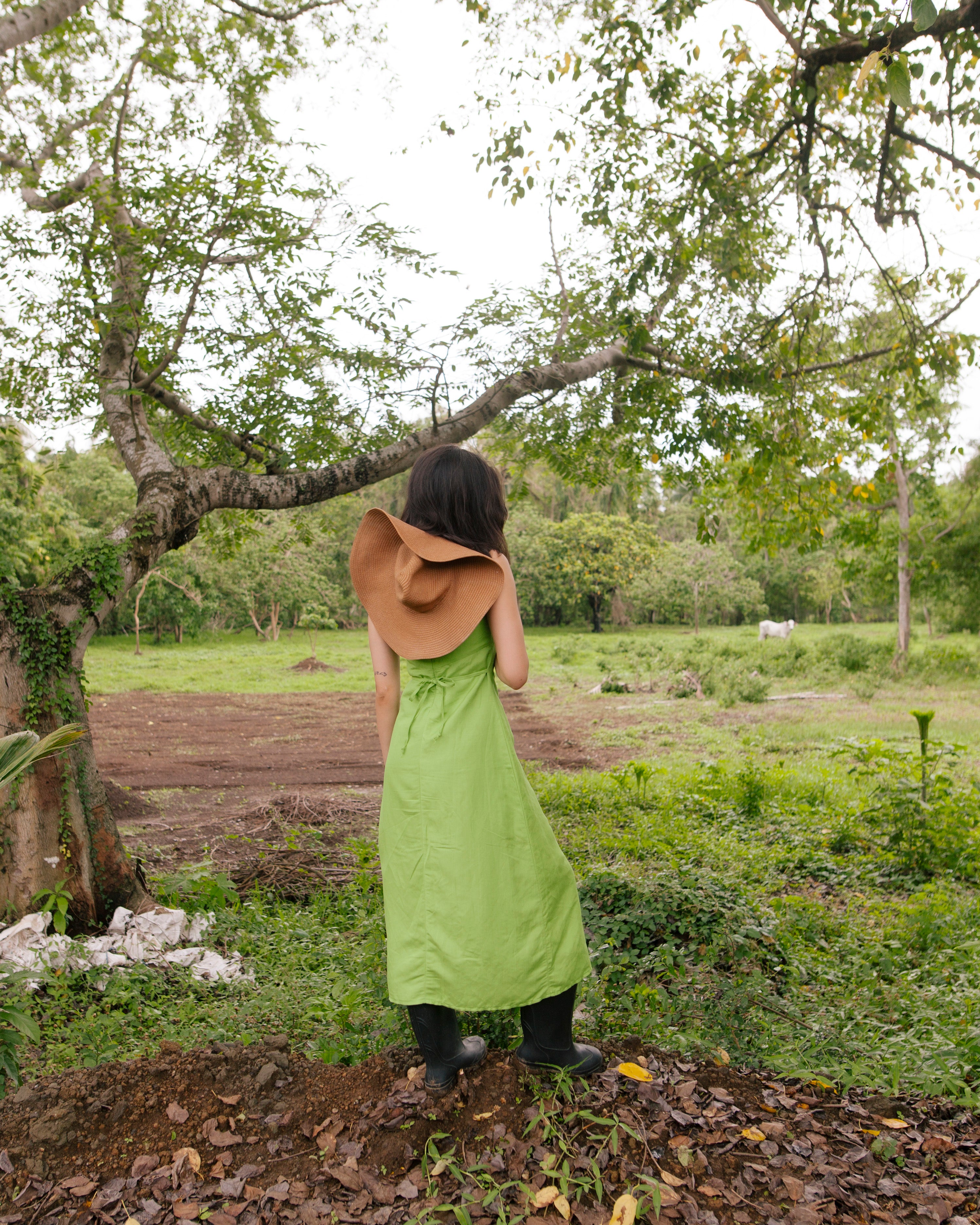 Daniella Linen Dress Fern