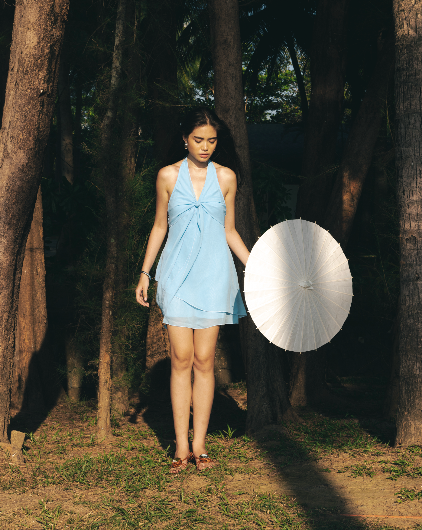 Claudia Chiffon Dress